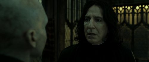 RdM2-Potterish_07807.jpg