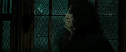 RdM2-Potterish_07829.jpg