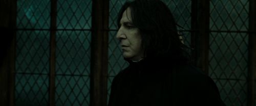 RdM2-Potterish_07831.jpg