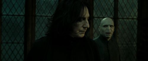 RdM2-Potterish_07833.jpg