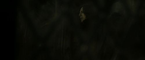 Click to view full size image
==============
RdM2-Potterish_07847.jpg RdM2-Potterish_07847.jpg