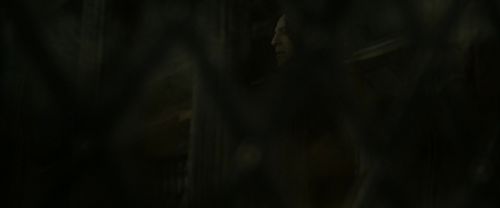 RdM2-Potterish_07849.jpg