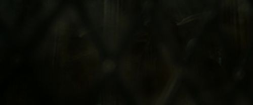 RdM2-Potterish_07851.jpg