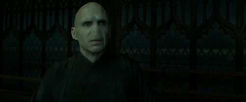 RdM2-Potterish_07947.jpg