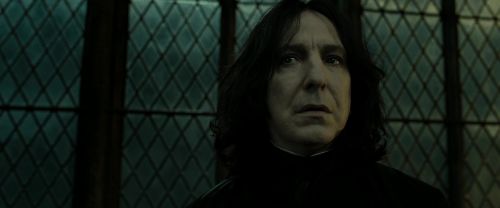 Click to view full size image
==============
RdM2-Potterish_07949.jpg RdM2-Potterish_07949.jpg