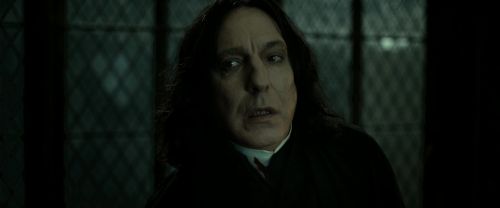 RdM2-Potterish_07955.jpg