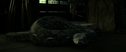 Click to view full size image
==============
RdM2-Potterish_07968.jpg RdM2-Potterish_07968.jpg