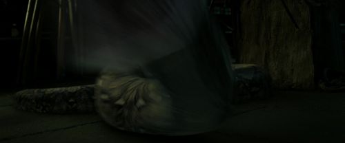 Click to view full size image
==============
RdM2-Potterish_07969.jpg RdM2-Potterish_07969.jpg