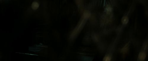 RdM2-Potterish_07991.jpg