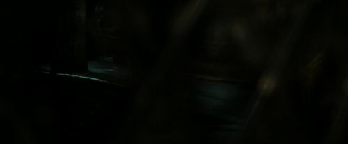 RdM2-Potterish_08009.jpg