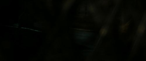 RdM2-Potterish_08010.jpg