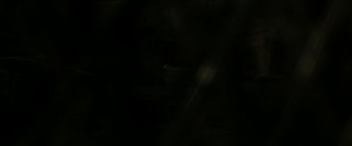 RdM2-Potterish_08012.jpg