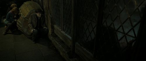 RdM2-Potterish_08014.jpg