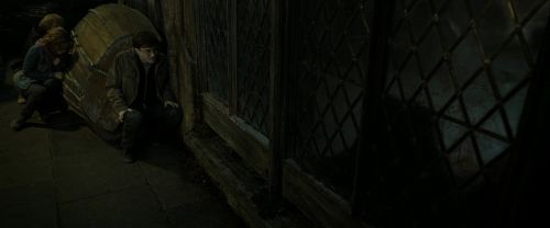 RdM2-Potterish_08015.jpg