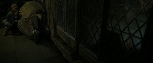 RdM2-Potterish_08022.jpg