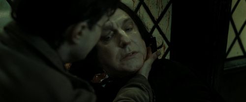 RdM2-Potterish_08059.jpg