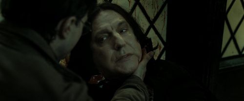 RdM2-Potterish_08061.jpg