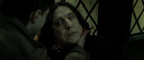 RdM2-Potterish_08062.jpg