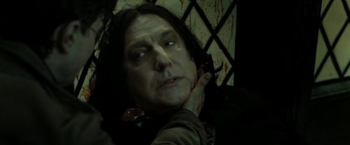 RdM2-Potterish_08064.jpg