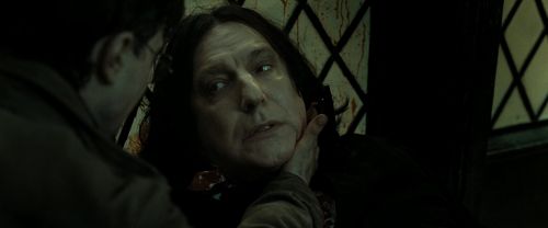 RdM2-Potterish_08065.jpg