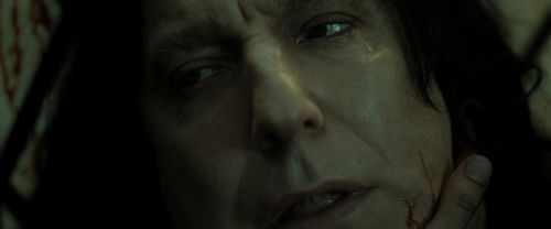 Click to view full size image
==============
RdM2-Potterish_08073.jpg RdM2-Potterish_08073.jpg