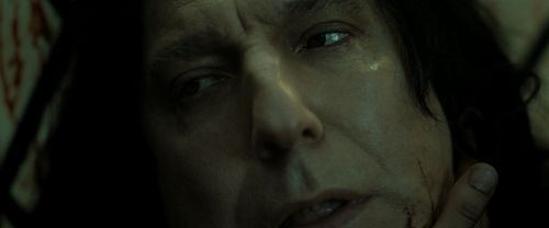 RdM2-Potterish_08075.jpg