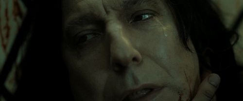 RdM2-Potterish_08076.jpg