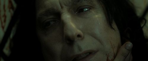 Click to view full size image
==============
RdM2-Potterish_08079.jpg RdM2-Potterish_08079.jpg