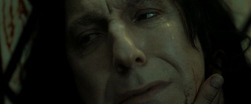 RdM2-Potterish_08081.jpg