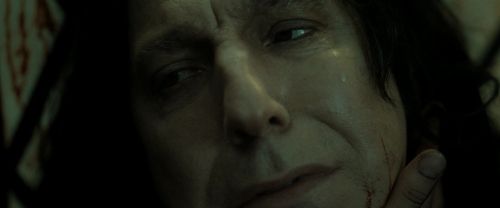 Click to view full size image
==============
RdM2-Potterish_08082.jpg RdM2-Potterish_08082.jpg