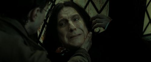 RdM2-Potterish_08090.jpg