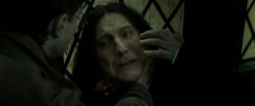 RdM2-Potterish_08091.jpg