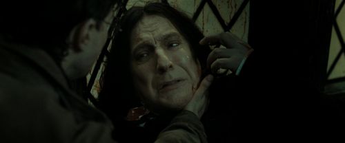 Click to view full size image
==============
RdM2-Potterish_08093.jpg RdM2-Potterish_08093.jpg