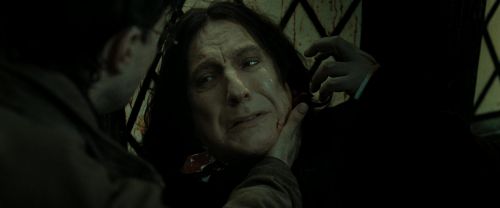 RdM2-Potterish_08094.jpg