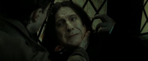 RdM2-Potterish_08095.jpg