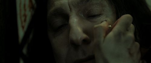 RdM2-Potterish_08127.jpg