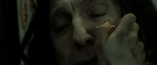 RdM2-Potterish_08128.jpg