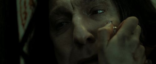 RdM2-Potterish_08129.jpg
