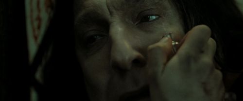 Click to view full size image
==============
RdM2-Potterish_08130.jpg RdM2-Potterish_08130.jpg