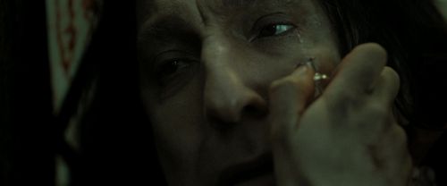 RdM2-Potterish_08131.jpg