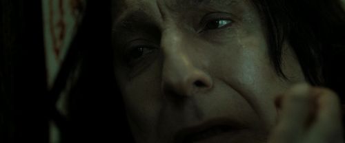 Click to view full size image
==============
RdM2-Potterish_08135.jpg RdM2-Potterish_08135.jpg