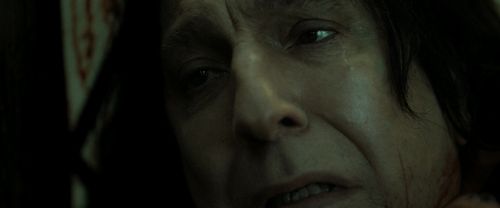 RdM2-Potterish_08136.jpg