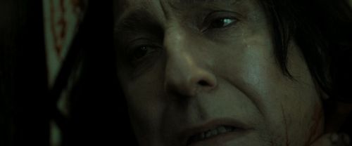 RdM2-Potterish_08137.jpg