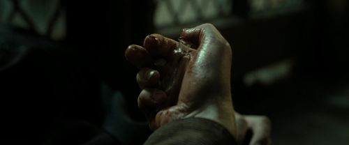 RdM2-Potterish_08145.jpg