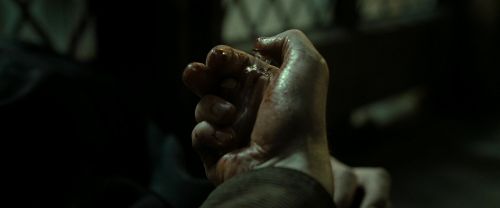 RdM2-Potterish_08146.jpg