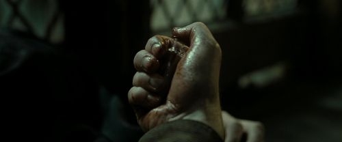 RdM2-Potterish_08148.jpg
