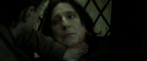 RdM2-Potterish_08158.jpg