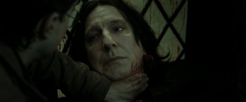 RdM2-Potterish_08161.jpg