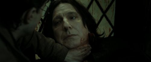 RdM2-Potterish_08162.jpg