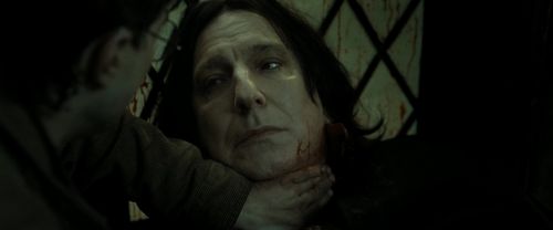 RdM2-Potterish_08163.jpg